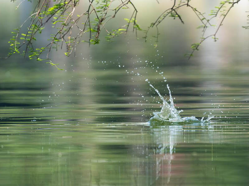 全國地表水水質(zhì)優(yōu)良斷面比例為84.9% 全國地表水水質(zhì)優(yōu)良斷面比例為84.9%