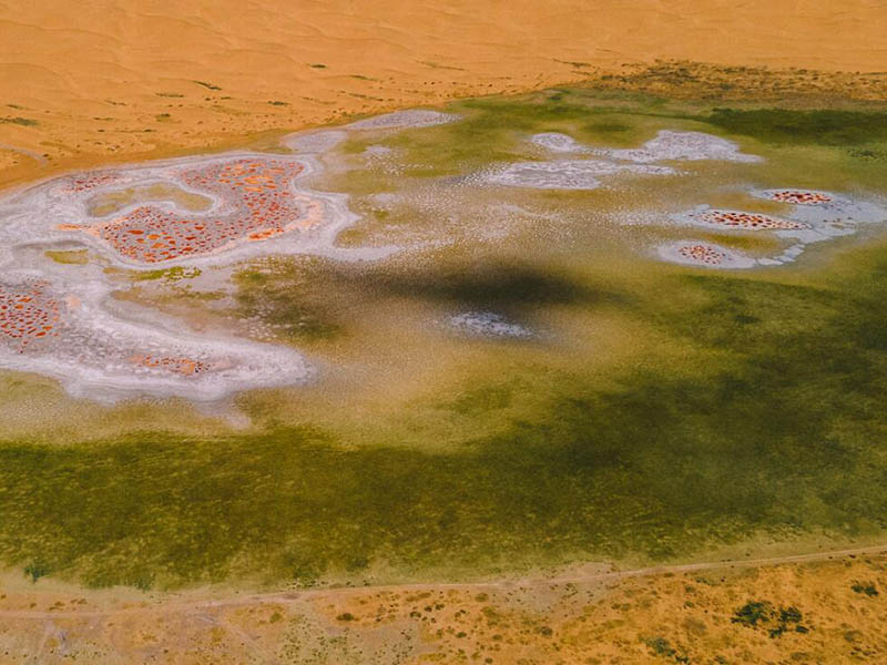 總磷快速檢測儀參數(shù)指標(biāo)（便攜式總磷快速檢測儀詳細(xì)操作步驟）