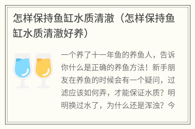 怎樣保持魚缸水質(zhì)清澈（怎樣保持魚缸水質(zhì)清澈好養(yǎng)）